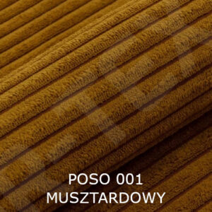 POSO 001