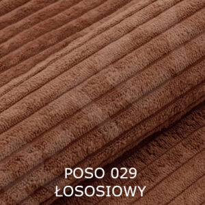 POSO 029